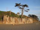 PICTURES/Kalaloch Lodge & Beach Olympic NP/t_IMG_8266.JPG